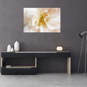 Obraz - Kvet (90x60 cm)