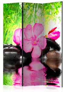 Artgeist Paraván - Fuzzy Reflection [Room Dividers]