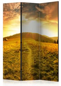 Artgeist Paraván - Road to the Hill [Room Dividers]