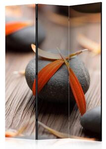 Artgeist Paraván - Stones and Flower Petals [Room Dividers]