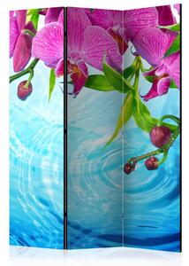 Artgeist Paraván - Orchids over Water [Room Dividers]