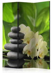 Artgeist Paraván - Spa Garden [Room Dividers]