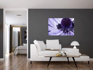 Obraz - Fialový kvet (90x60 cm)