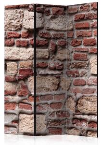 Artgeist Paraván - Vintage Wall [Room Dividers]