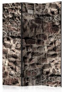 Artgeist Paraván - Antiquum murum [Room Dividers]