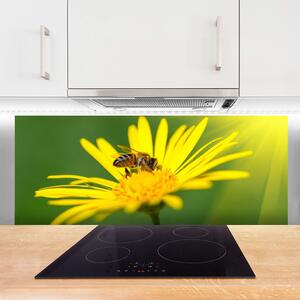 Sklenený obklad Do kuchyne Osa kvet rastlina príroda 125x50 cm