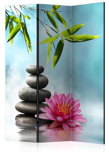 Artgeist Paraván - Water Lily and Zen Stones [Room Dividers]