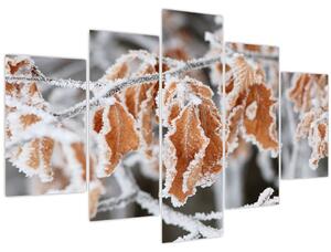 Obraz - Zamrznuté listy (150x105 cm)