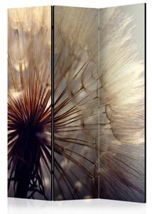 Artgeist Paraván - Dandelion Kiss [Room Dividers]
