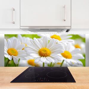 Sklenený obklad Do kuchyne Sedmokrásky rastlina príroda 125x50 cm