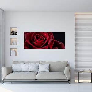 Obraz - Červená ruža (120x50 cm)