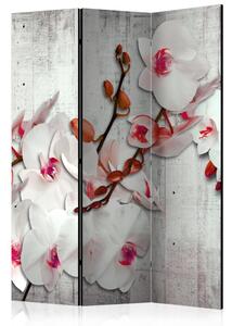 Artgeist Paraván - Concrete Orchid [Room Dividers]