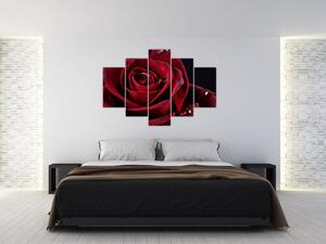Obraz - Červená ruža (150x105 cm)