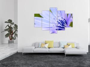 Obraz - kvet (150x105 cm)