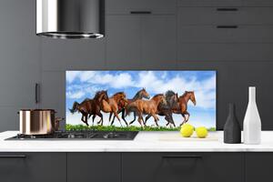 Sklenený obklad Do kuchyne Cválajúci kone na pastvine 125x50 cm