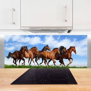 Sklenený obklad Do kuchyne Cválajúci kone na pastvine 125x50 cm
