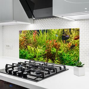 Sklenený obklad Do kuchyne Akvárium rybičky rastliny 120x60 cm