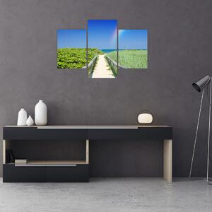 Obraz - Krajina a dúha (90x60 cm)