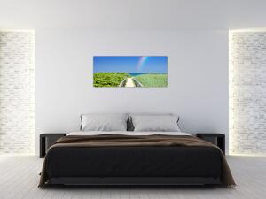 Obraz - Krajina a dúha (120x50 cm)