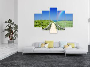 Obraz - Krajina a dúha (150x105 cm)