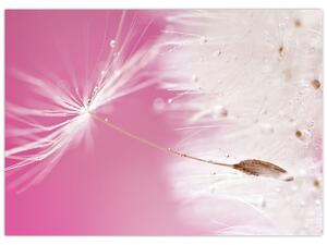 Obraz - Makro kvetu (70x50 cm)