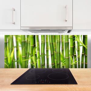 Sklenený obklad Do kuchyne Bambusové výhonky listy bambus 125x50 cm