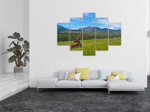 Obraz - Jeleň v lúke (150x105 cm)