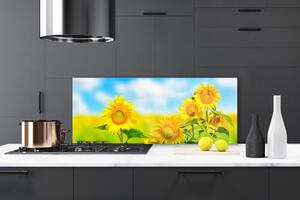 Sklenený obklad Do kuchyne Slnečnica kvety príroda 125x50 cm