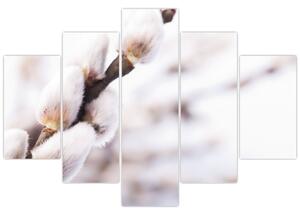 Obraz - Vetva mačičky (150x105 cm)
