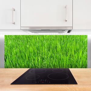 Sklenený obklad Do kuchyne Zelená tráva príroda trávnik 125x50 cm