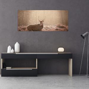 Obraz - Jeleň v lese (120x50 cm)