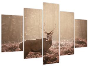 Obraz - Jeleň v lese (150x105 cm)