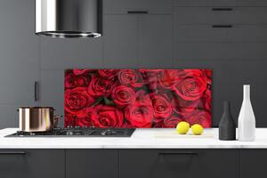 Sklenený obklad Do kuchyne Červené ruže kvety príroda 125x50 cm