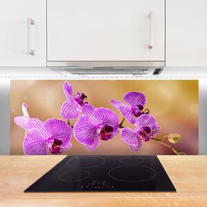 Sklenený obklad Do kuchyne Orchidea výhonky kvety príroda 125x50 cm