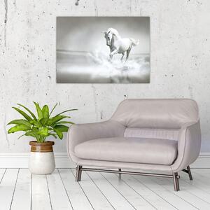 Obraz - Biely kôň (70x50 cm)