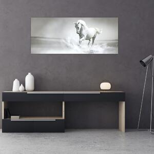 Obraz - Biely kôň (120x50 cm)