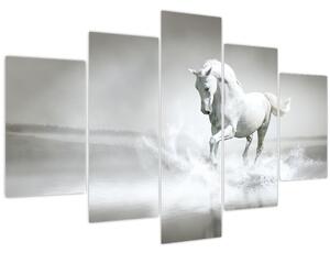 Obraz - Biely kôň (150x105 cm)