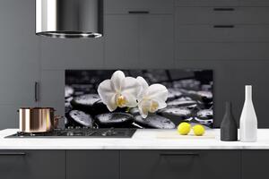 Sklenený obklad Do kuchyne Kamene zen biela orchidea 125x50 cm