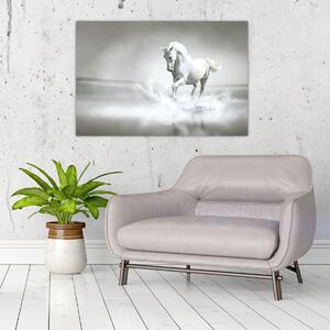 Obraz - Biely kôň (90x60 cm)