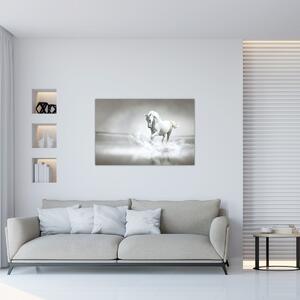 Obraz - Biely kôň (90x60 cm)