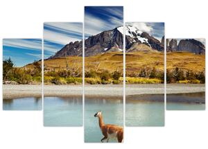 Obraz - Národný park Torres del Paine (150x105 cm)