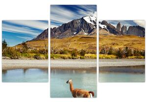 Obraz - Národný park Torres del Paine (90x60 cm)