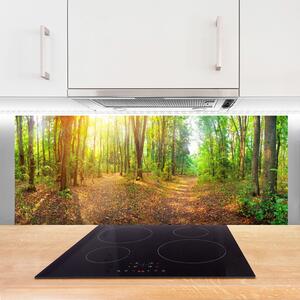 Sklenený obklad Do kuchyne Slnko príroda lesné chodník 125x50 cm