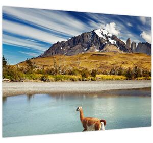 Obraz - Národný park Torres del Paine (70x50 cm)