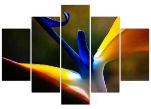Obraz - Exotický kvet (150x105 cm)