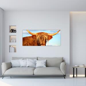 Obraz - Škótska krava (120x50 cm)