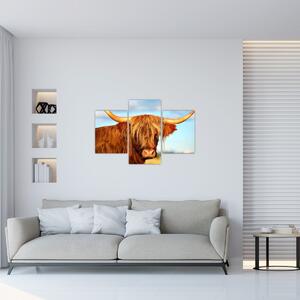 Obraz - Škótska krava (90x60 cm)