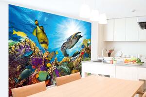Samolepiaca vliesová fototapeta Koralový útes 375 x 250 cm