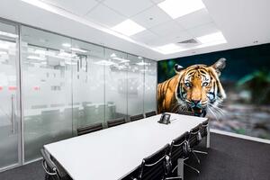 Samolepiaca vliesová fototapeta Tiger malajzijský 375 x 250 cm