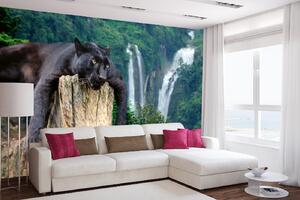 Samolepiaca vliesová fototapeta Panter na strome 375 x 250 cm